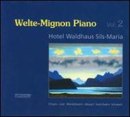 【輸入盤】Welte-mignon Piano Vol.2: Pachmann Paderewski Saint-saens Etc [ ピアノ作品集 ]