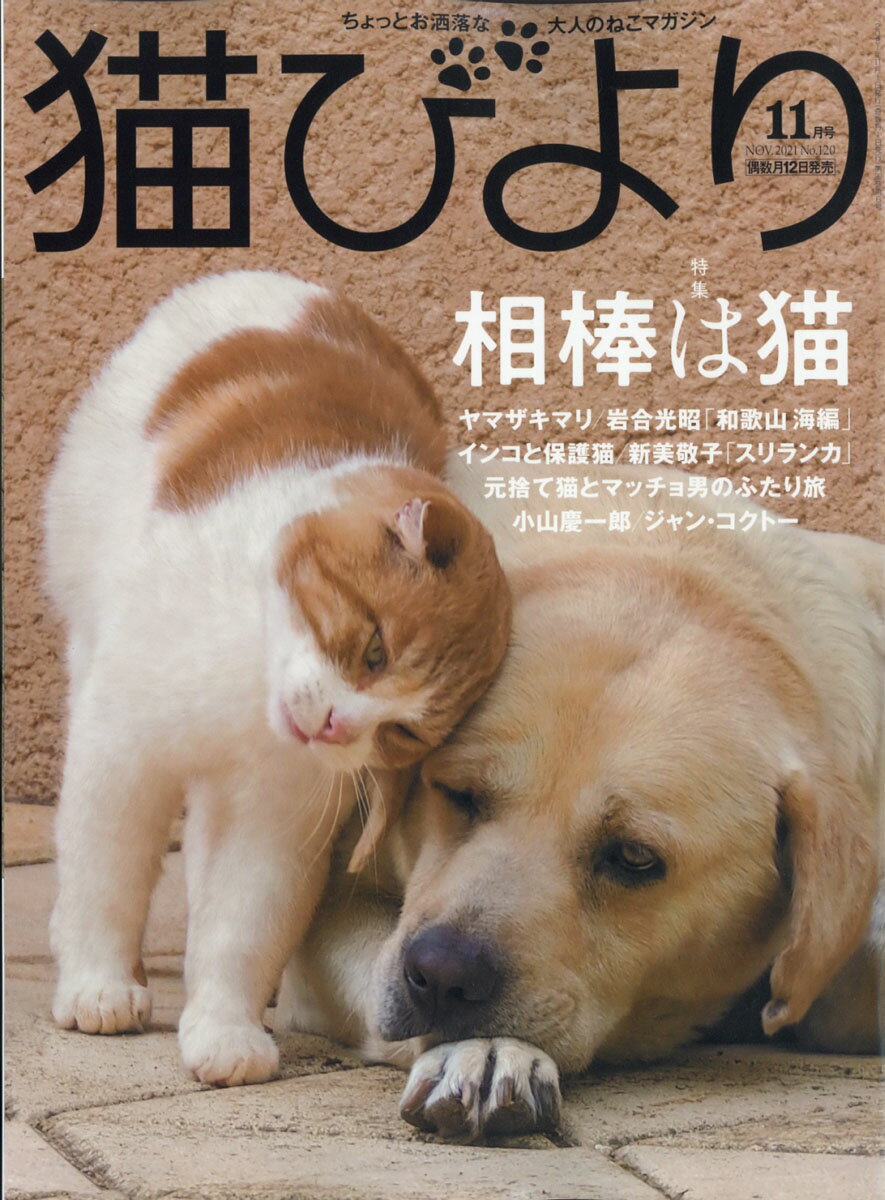 猫びより 2021年 11月号 [雑誌]