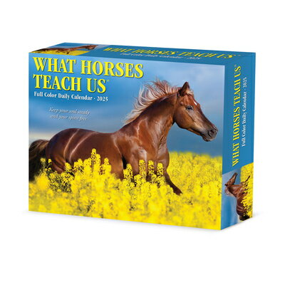 What Horses Teach Us 2025 6.2 X 5.4 Box Calendar WHAT HORSES TEACH US 2025 62 X [ Willow Creek Press ]