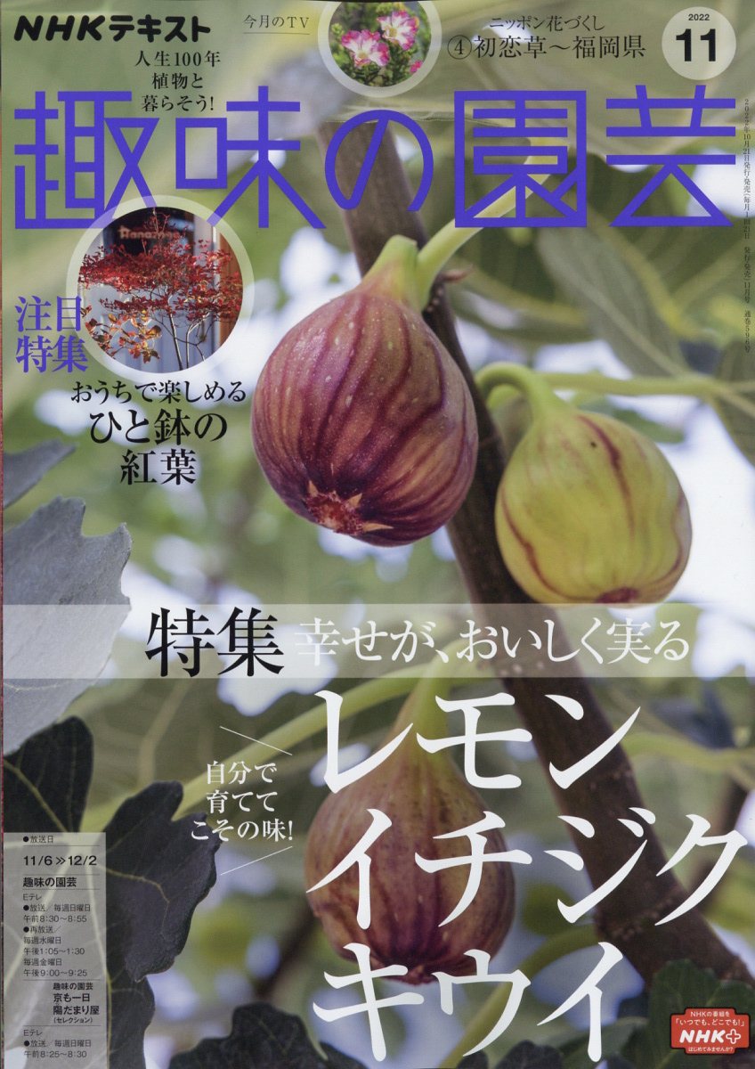 NHK 趣味の園芸 2022年 11月号 [雑誌]