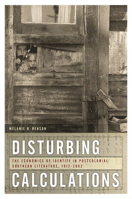 Disturbing Calculations: The Economics of Identity in Postcolonial Southern Literature, 1912-2002 DISTURBING CALCULATIONS （New Southern Studies） 