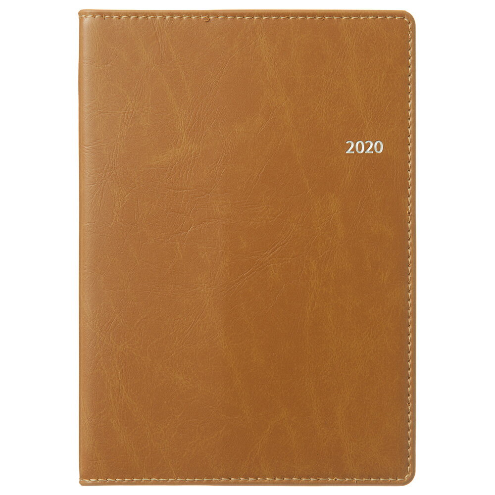 2038 NOLTYキャレルA6ウィーク2（キャメル） 2020年1月始まり