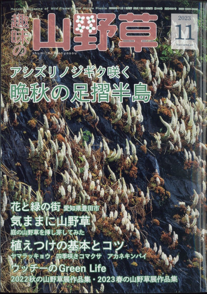 趣味の山野草 2023年 11月号 [雑誌]