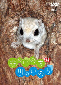“カワイイ”から始まるハートフル・エコムービー。
日本に残る、身近な森の“守るべき仲間たち”の物語。
小気味よい構成でじわりと響く、癒しの映像絵本24話60分の世界へ、ようこそ！

日本の森や川で精一杯に生きる小さな仲間たちの日常を、貴重な映像の数々で作品化。
子どもたちに、そして未来へ伝えたい「森の動物遺産」。身近な日本の森を親しみをもって愛でることから始める環境問題への第一歩。忘れかけていたものがよみがえる…。

■分かりやすい言葉で読み聞かせのように語りかける「ナレーション」モードに加え、BGVとして大人も繰り返し楽しめる「音楽と自然音のみ」のモードも収録。「エンドレス再生」機能搭載。
■貴重な水中撮影による決定的瞬間も多数収録。

【Part.1 森の生命】
●Chap.1　エゾリス
●Chap.2　エゾシマリス
●Chap.3　エゾモモンガ
●Chap.4　イタチ
●Chap.5　エゾシカ
●Chap.6　キタキツネ
●Chap.7　ヒグマ
●Chap.8　ニホンザル

【Part.2 空の生命】
●Chap.9　クマゲラ
●Chap.10　ヤマゲラ
●Chap.11　ヤマセミ
●Chap.12　カワセミ
●Chap.13　フクロウ
●Chap.14　ヒレンジャクとキレンジャク
●Chap.15　シマエナガ
●Chap.16　マガン
●Chap.17　オオハクチョウ

【Part.3 川の生命】
●Chap.18　ミヤベイワナ
●Chap.19　サクラマス
●Chap.20　ヤマメ
●Chap.21　アユ
●Chap.22　サケ

【Part.4 水辺の生命】
●Chap.23　エゾサンショウウオ
●Chap.24　カジカガエル

撮影・文・イメージフォト：田口 哲
監修：小原 聡
音楽：小松真理
ナレーション：加藤亜衣子
製作・発売：シンフォレスト