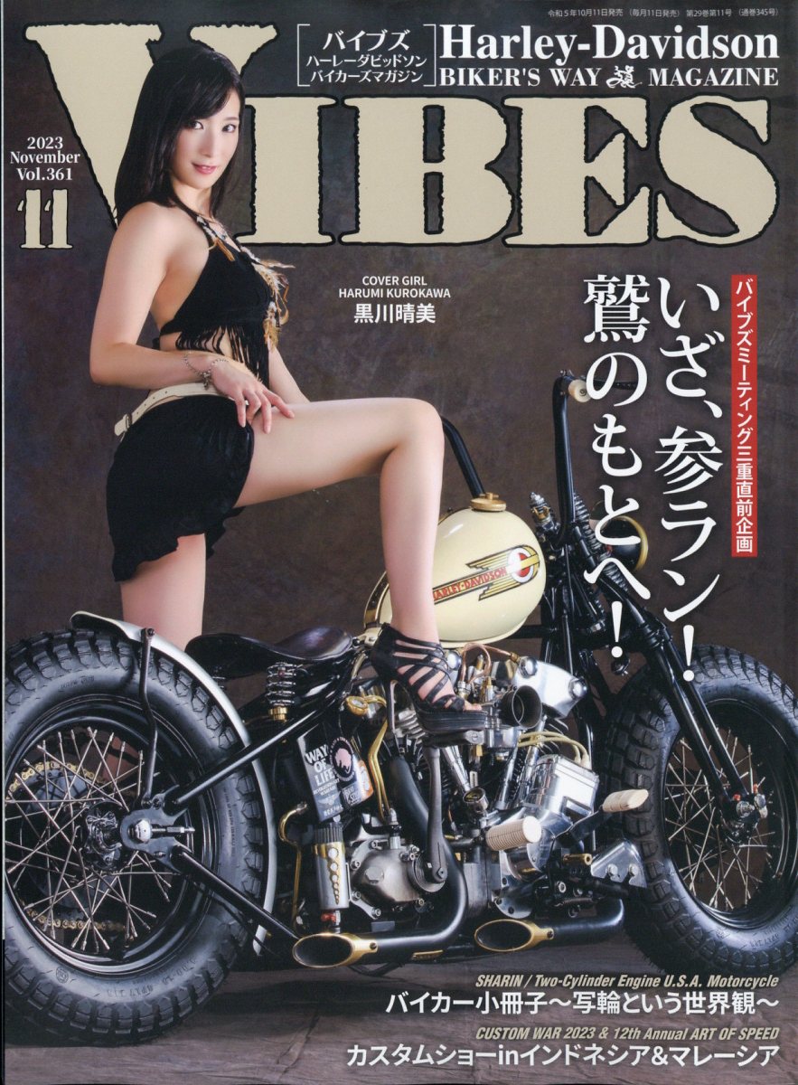 VIBES (バイブス) 2023年 11月号 [雑誌]