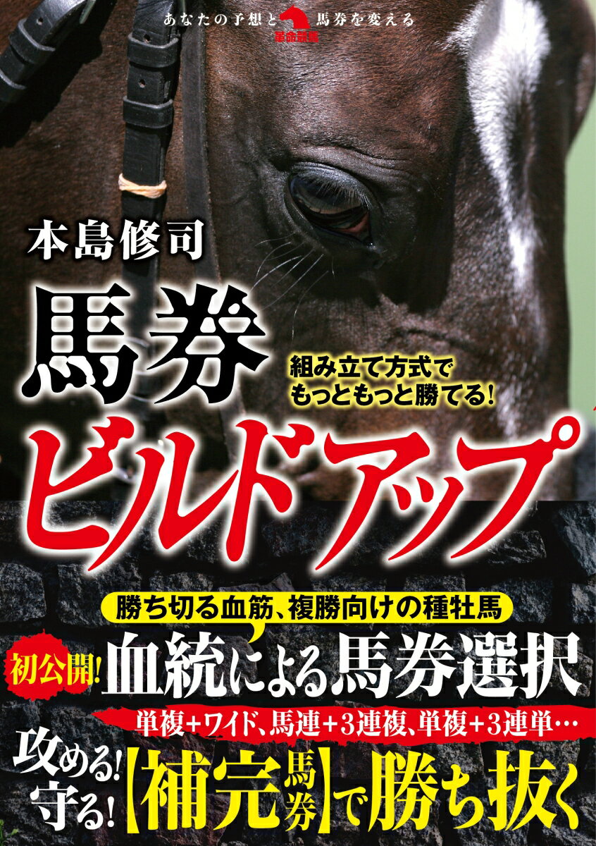 組み立て方式でもっともっと勝てる！馬券ビルドアップ