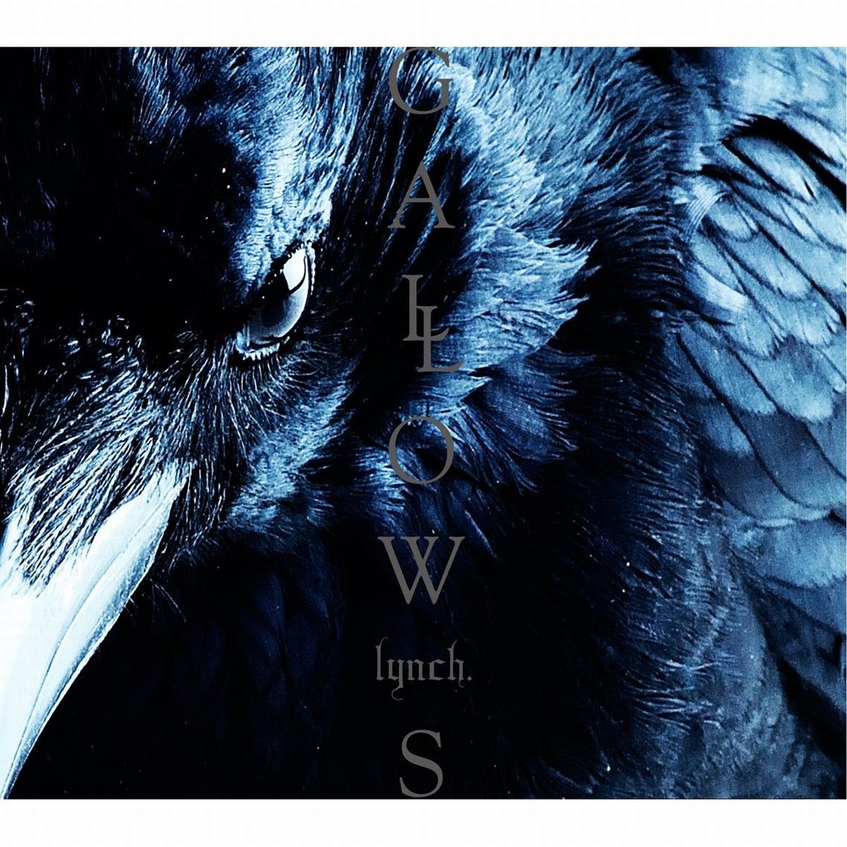 GALLOWS(CD DVD) lynch.