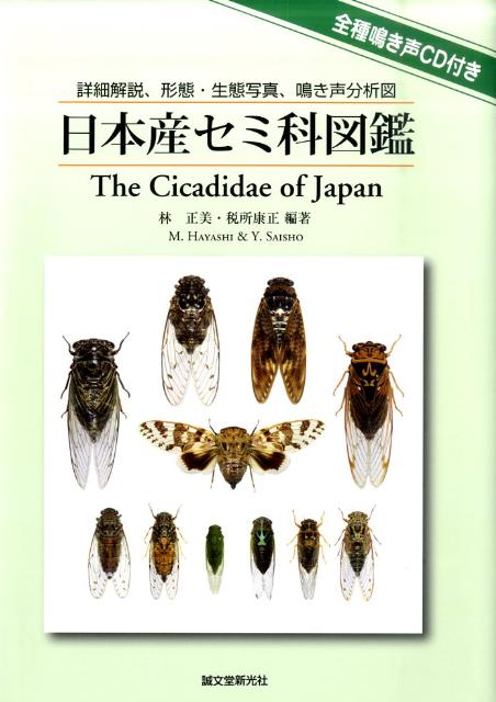 日本産セミ科図鑑