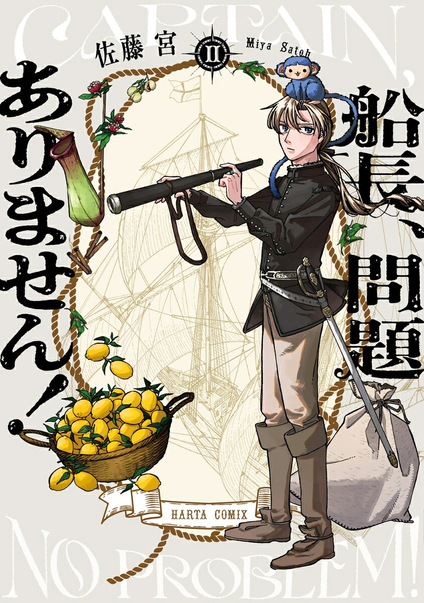 船長、問題ありません！ II