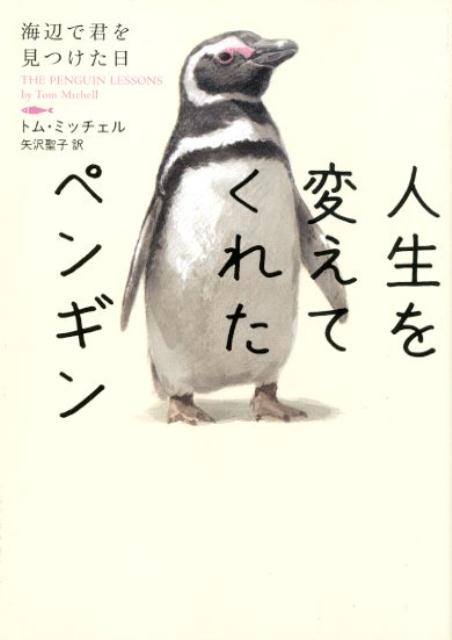 冒険好きの若き英国人教師トムは南米旅行中、近くの海岸に立ち寄った。待ち受けていたのは重油にまみれ浜辺で息絶える無数のペンギンーだがその中にただ一羽生き残っていたペンギンがいた。助けられたペンギンは彼に懐いたのか海に帰ろうとせず、やがて“フアン・サルバドール”と名づけられ、トムが働く学校の屋上で暮らすように。教師とペンギン、ふたりが最高の親友になるまでを綴った実話。