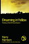 Dreaming in Yellow: The Story of the DIY Sound System DREAMING IN YELLOW [ Harry Harrison ]