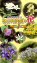 軽井沢町植物園の花（第3集） 