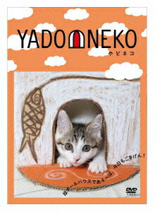 YADONEKO-やどネコー