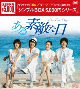 ある素敵な日 DVD-BOX コン ユ