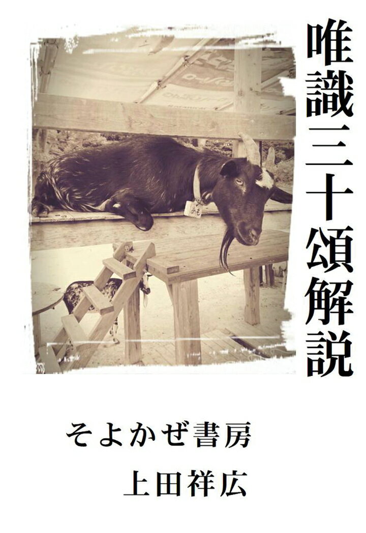【POD】唯識三十頌解説