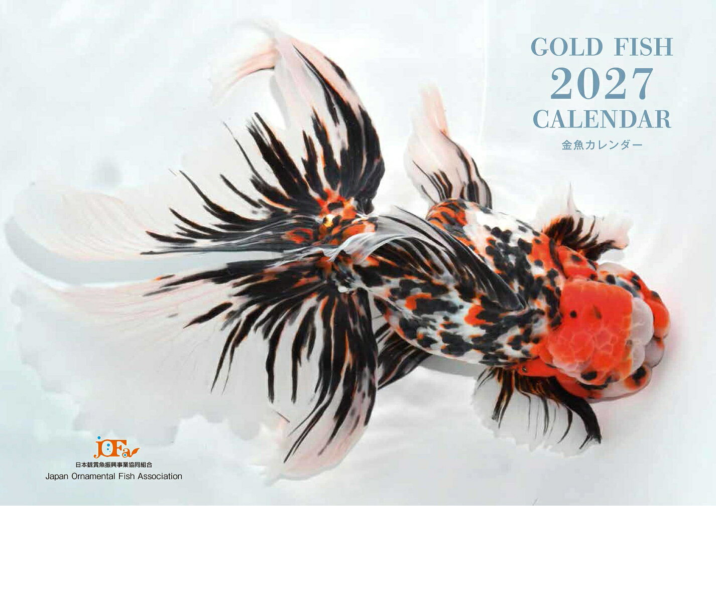 Gold Fish 金魚カレンダー 2027 （月めくり・壁掛け）
