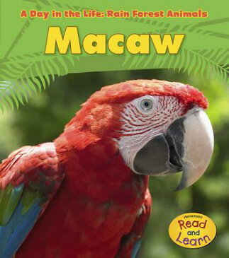 Macaw MACAW （Day in the Life: Rain Forest Animals (Paperback)） [ Anita Ganeri ]