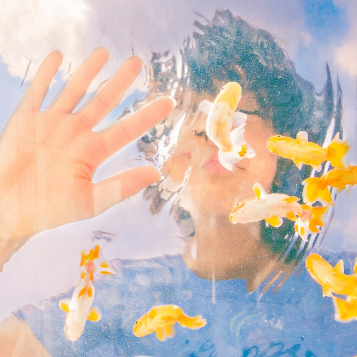 らんちゅう [ 瑛人 ]