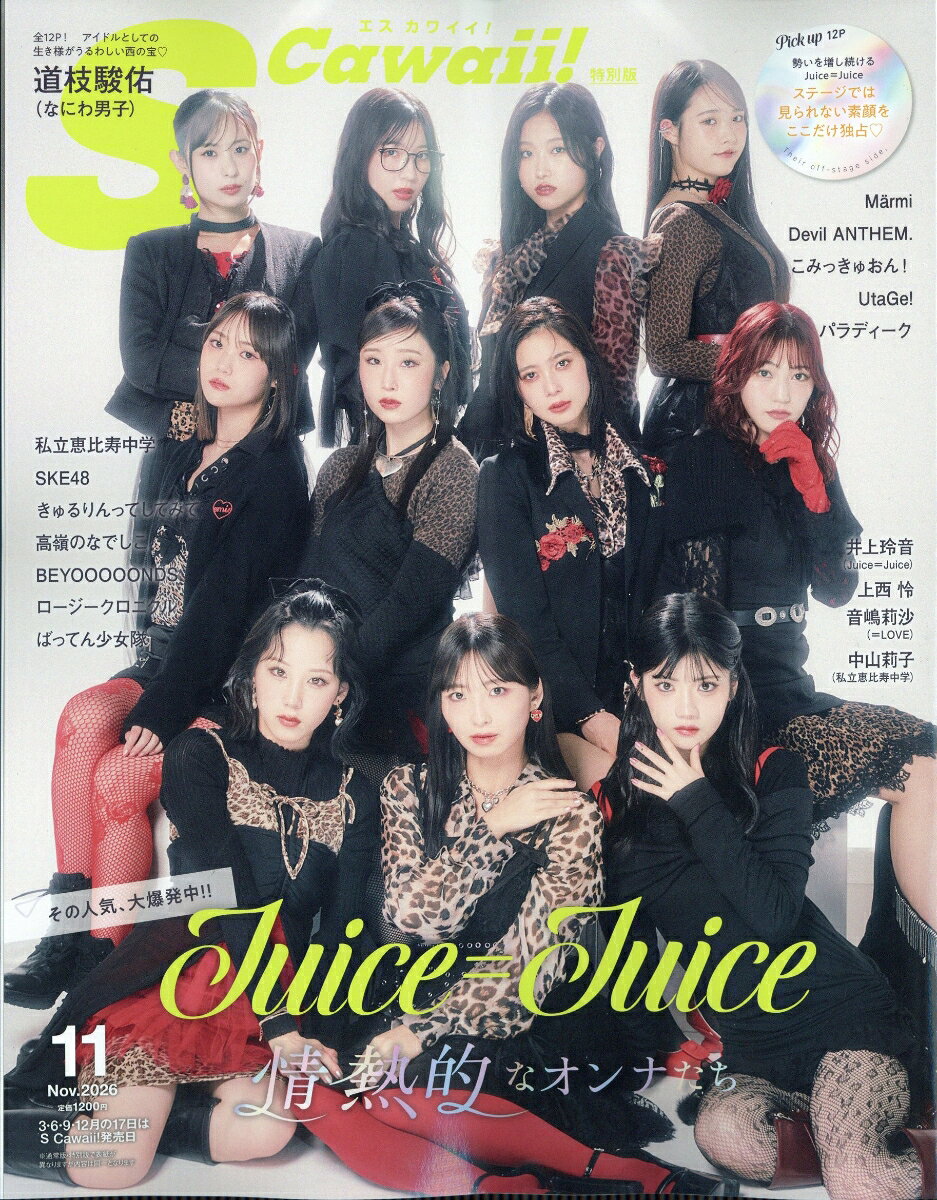 S Cawaii!(エス カワイイ)11月号増刊 特別版 2026年 11月号 [雑誌]