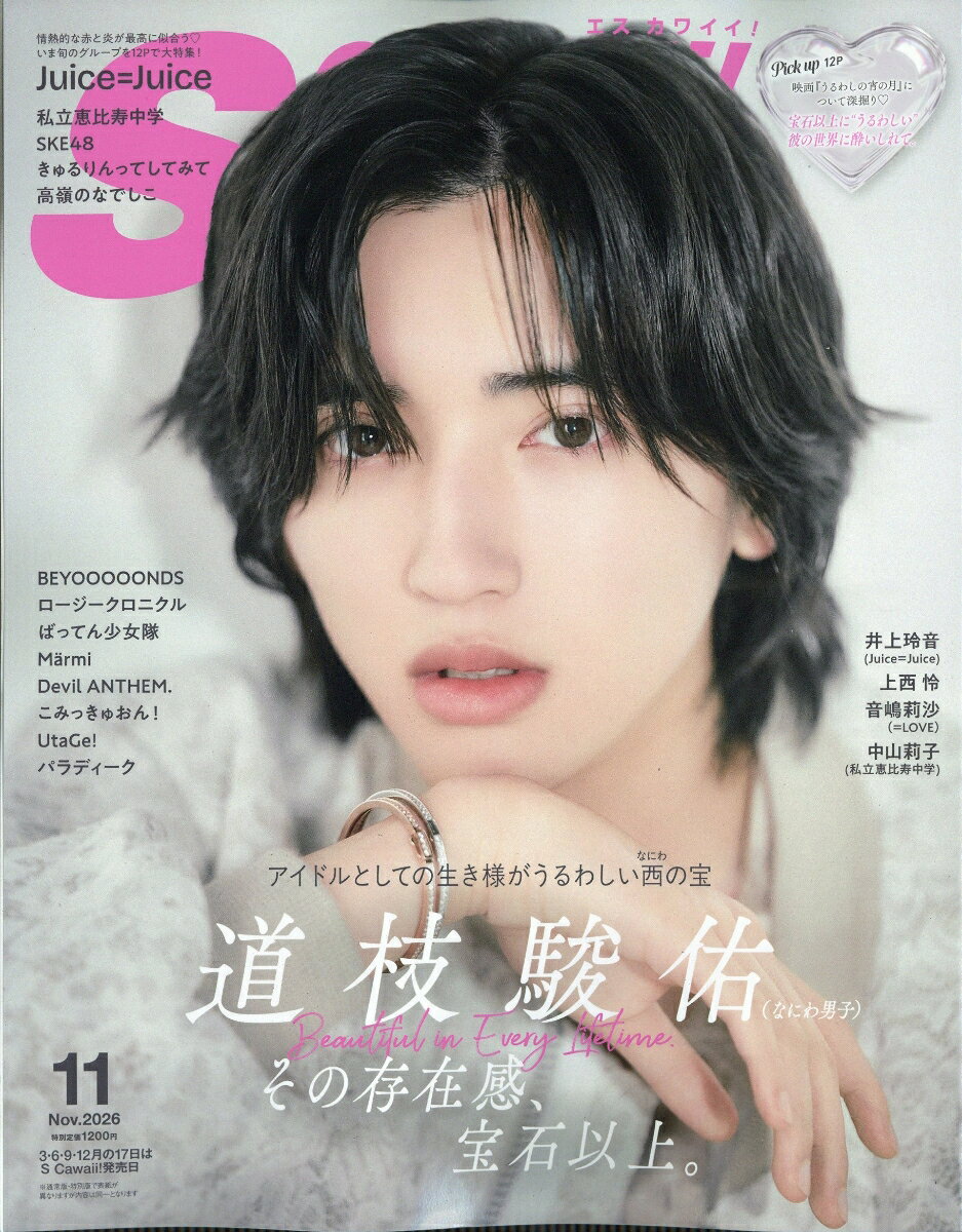 Scawaii! (エス カワイイ) 2026年 11月号 [雑誌]