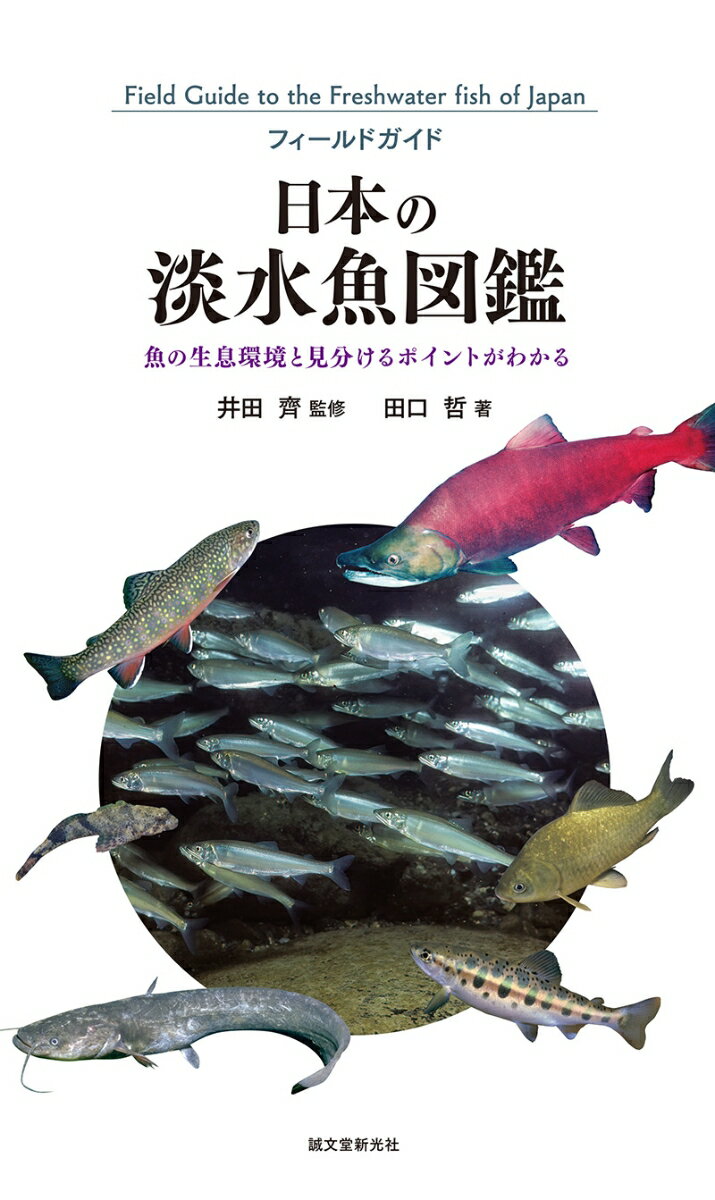 日本の淡水魚図鑑 魚の生息環境と見分けるポイントがわかる （フィールドガイド） [ 田口 哲 ]