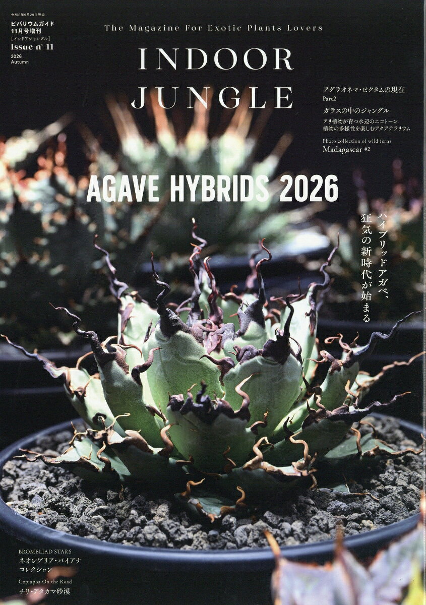 INDOOR JUNGLE No.11 2026年 11月号 [雑誌]