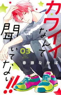 カワイイなんて聞いてない!!(3)の表紙