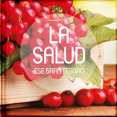La Salud, Ese Gran Tesoro: Antologias de Relatos, Reflexiones, Poesias, Pasajes Biblicos y Frases Ce SPA-SALUD ESE GRAN TESORO [ Gabriel Garcia Valdivieso ]