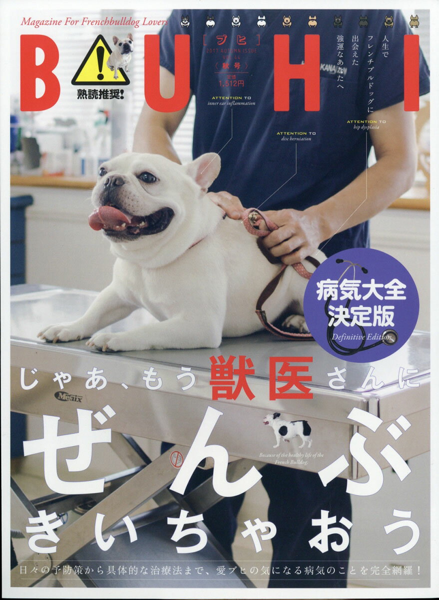 BUHI (ブヒ) 2017年 11月号 [雑誌]