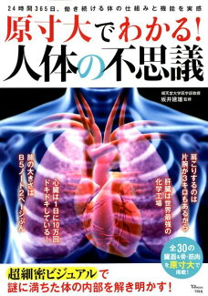 原寸大でわかる!人体の不思議の表紙