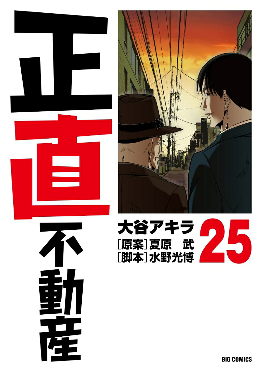 正直不動産（25）