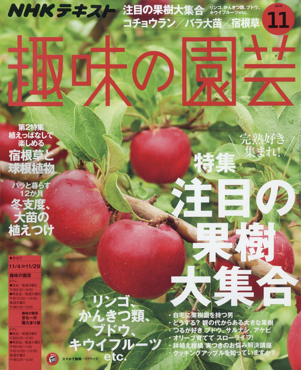NHK 趣味の園芸 2018年 11月号 [雑誌]