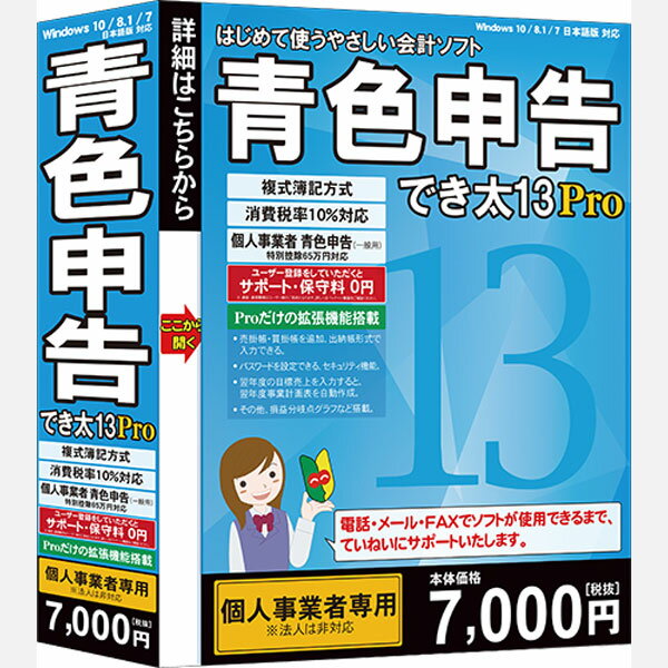 青色申告でき太 13 Pro