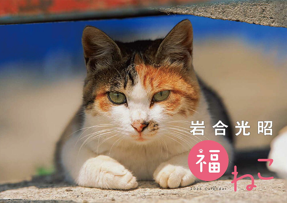 岩合光昭　福ねこカレンダー2025