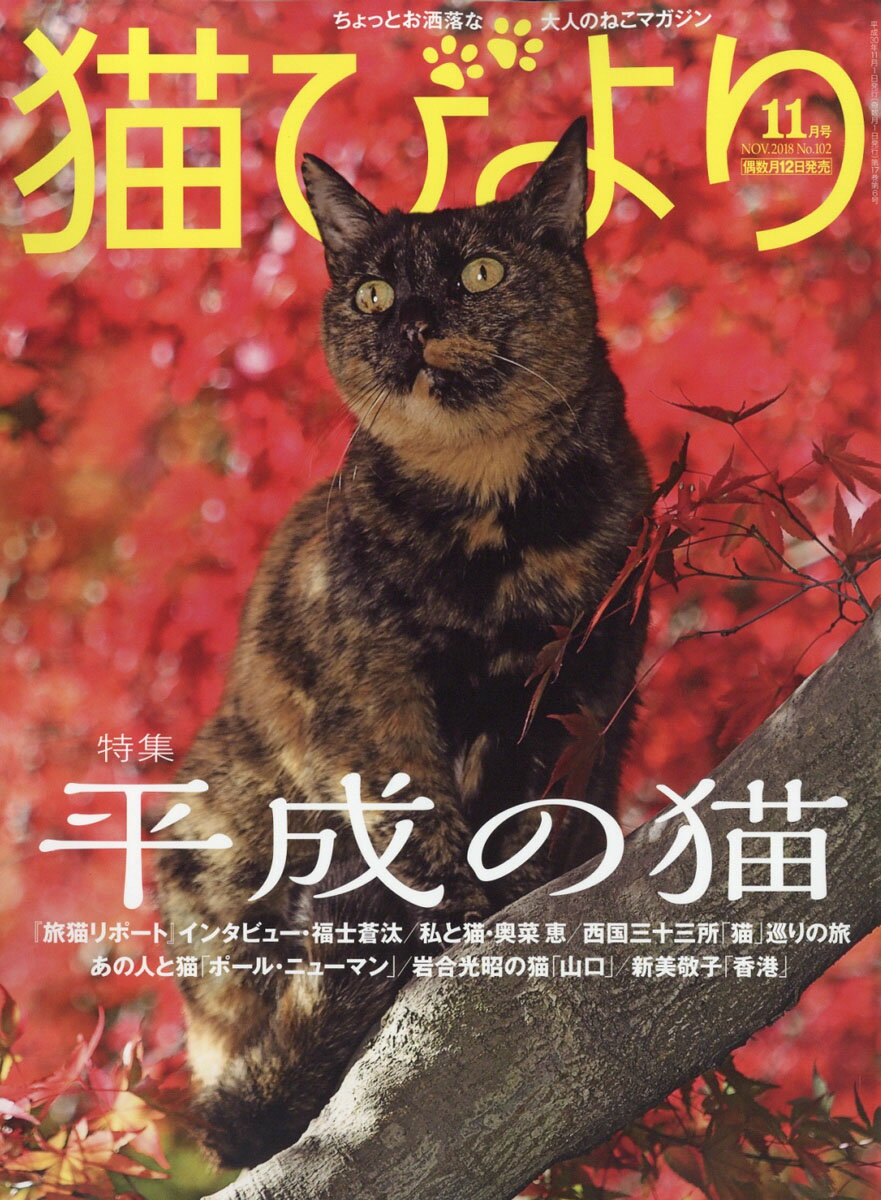 猫びより 2018年 11月号 [雑誌]