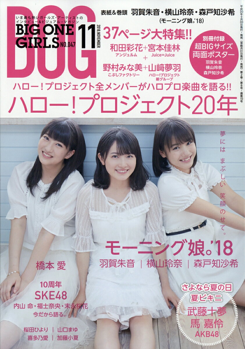 BIG ONE GIRLS (ビッグワンガールズ) 2018年 11月号 [雑誌]