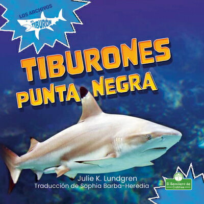 Tiburones Punta Negra (Blacktip Reef Sharks) SPA-TIBURONES PUNTA NEGRA (BLA 