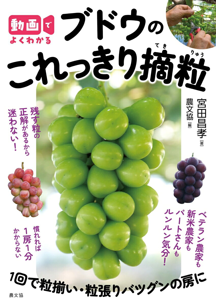 動画でよくわかる　ブドウのこれっきり摘粒
