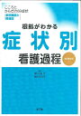 根拠がわかる症状別看護過程改訂第3版 こころとからだの69症状 事例展開と関連図 関口恵子