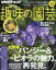 NHK 趣味の園芸 2019年 11月号 [雑誌]