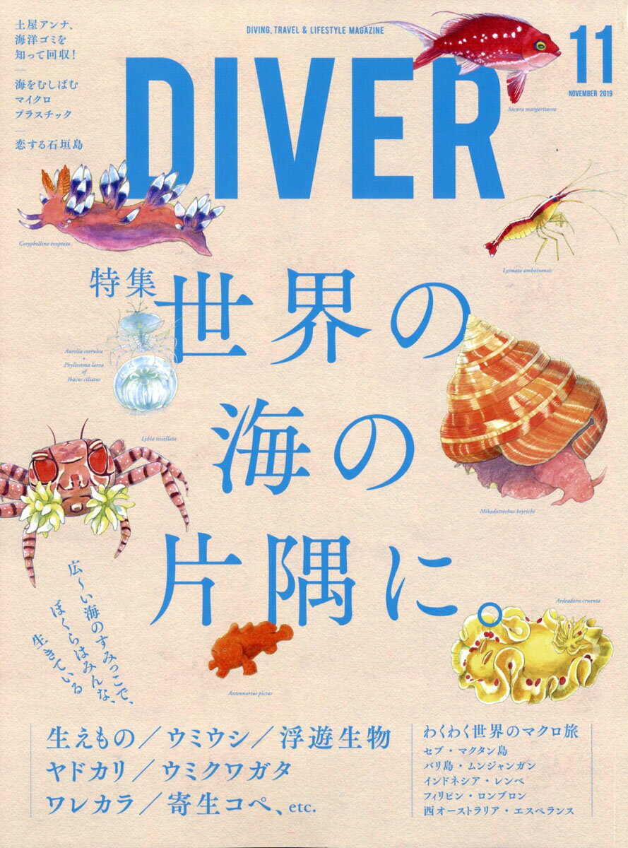 ダイバー 2019年 11月号 [雑誌]