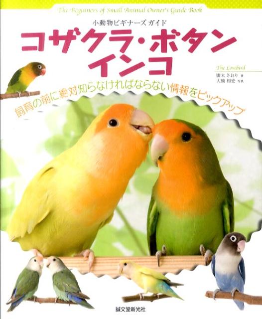 コザクラ・ボタンインコ