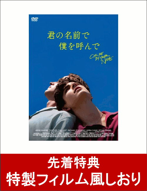 ��������ŵ�۷���̾�����ͤ�Ƥ��(�����ե�������������դ�)