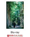 【先着特典】散り椿(特製クリアファイル付き)【Blu-ray...
