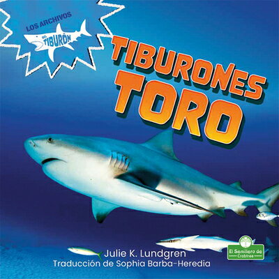 Tiburones Toro (Bull Sharks) SPA-TIBURONES TORO (BULL SHARK 