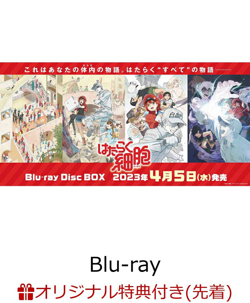 【楽天ブックス限定先着特典+先着特典】はたらく細胞 Blu-ray Disc BOX【完全生産限定版】 【Blu-ray】(ミニミニアクリルキーホルダー13種 全ジャケットコンプリートセット+クリアファイル) [ 清水茜 ]