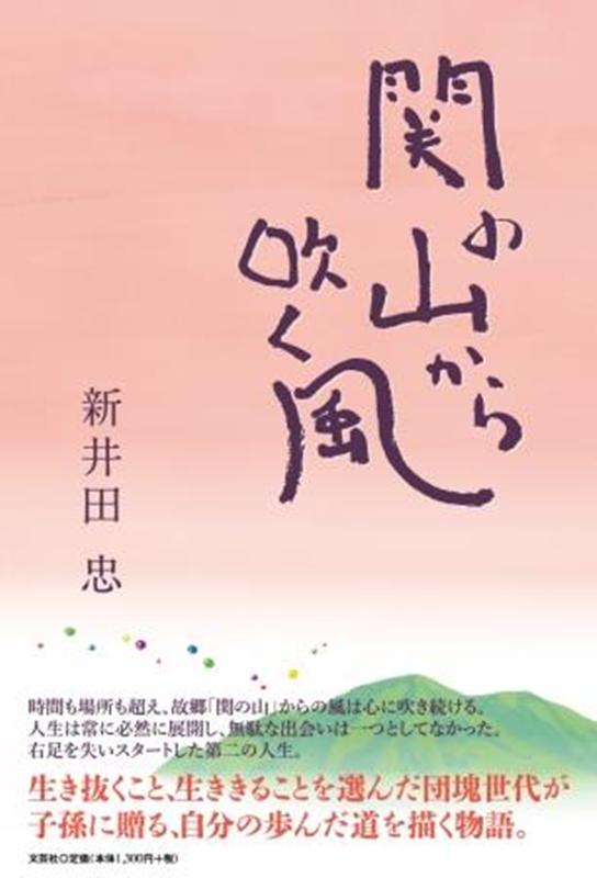 関の山から吹く風 [ 新井田忠 ]