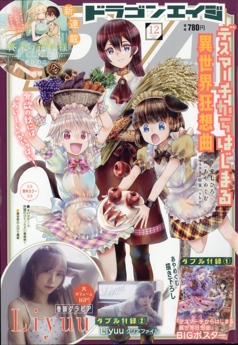 ドラゴンエイジ 2022年 12月号 [雑誌]