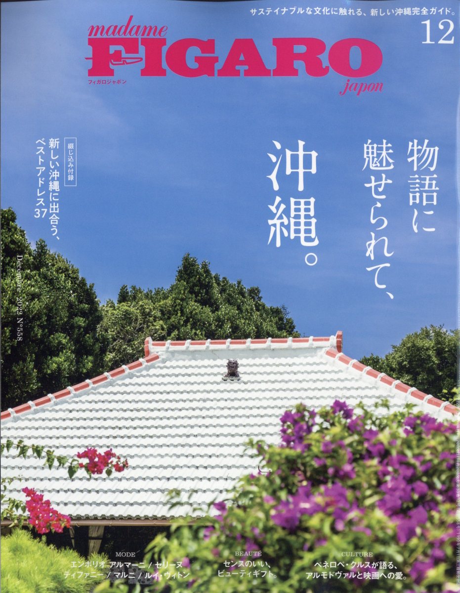 madame FIGARO japon (フィガロ ジャポン) 2022年 12月号 [雑誌]
