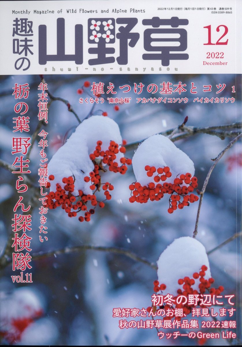 趣味の山野草 2022年 12月号 [雑誌]